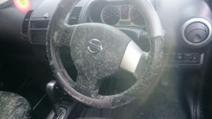 Mould Removal: Why It's Essential for Your Vehicle